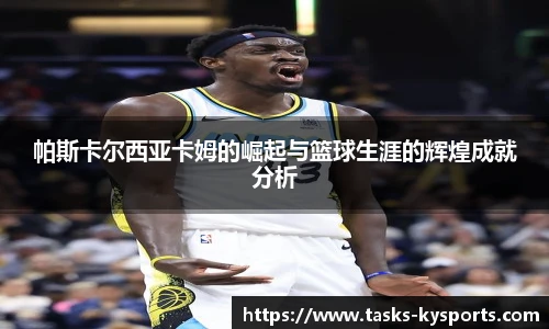 开云体育官网平台